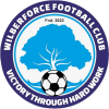Logo Wilberforce Strikers