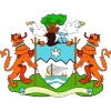 Logo Freetown City