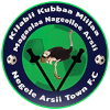 Logo Negele Arsi