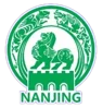 Nanjing Team