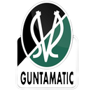 Logo SV Ried